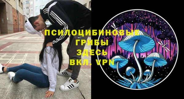 гидропоника Верхний Тагил
