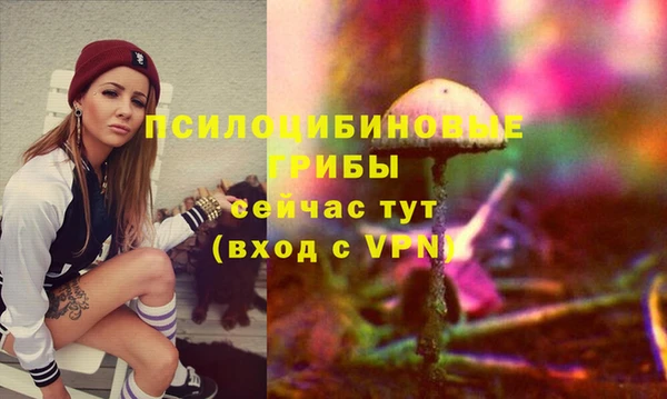 гидропоника Верхний Тагил
