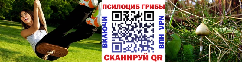 купить наркотик  Мостовской  Псилоцибиновые грибы Magic Shrooms 
